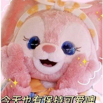 zmbaoer|最美宝儿 (@ZMBAOER) Twitter Tweets • TwiCopy.